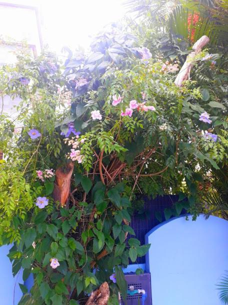 Pousada Los Casarones Florianopolis Ngoại thất bức ảnh